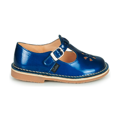 Aster - DINGO - Bleu