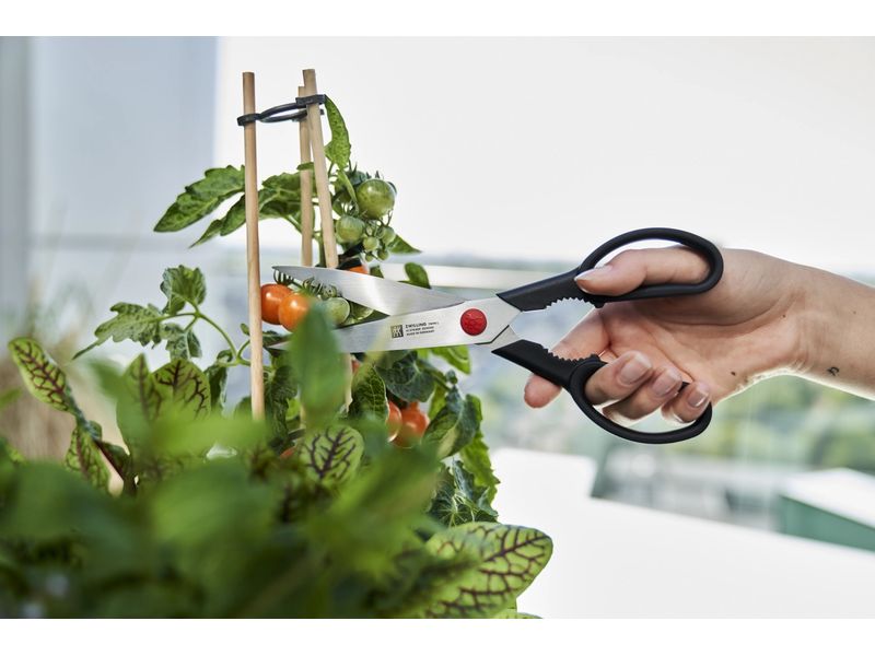 Zwilling Haushaltsschere Twin L 23 cm Vielzweckschere