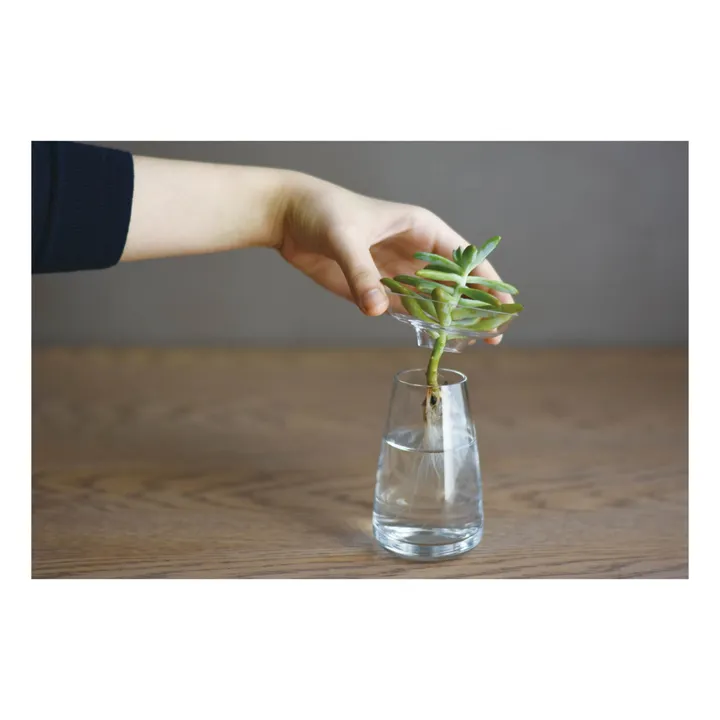 Kinto Vase en verre Aquaculture | Transparent