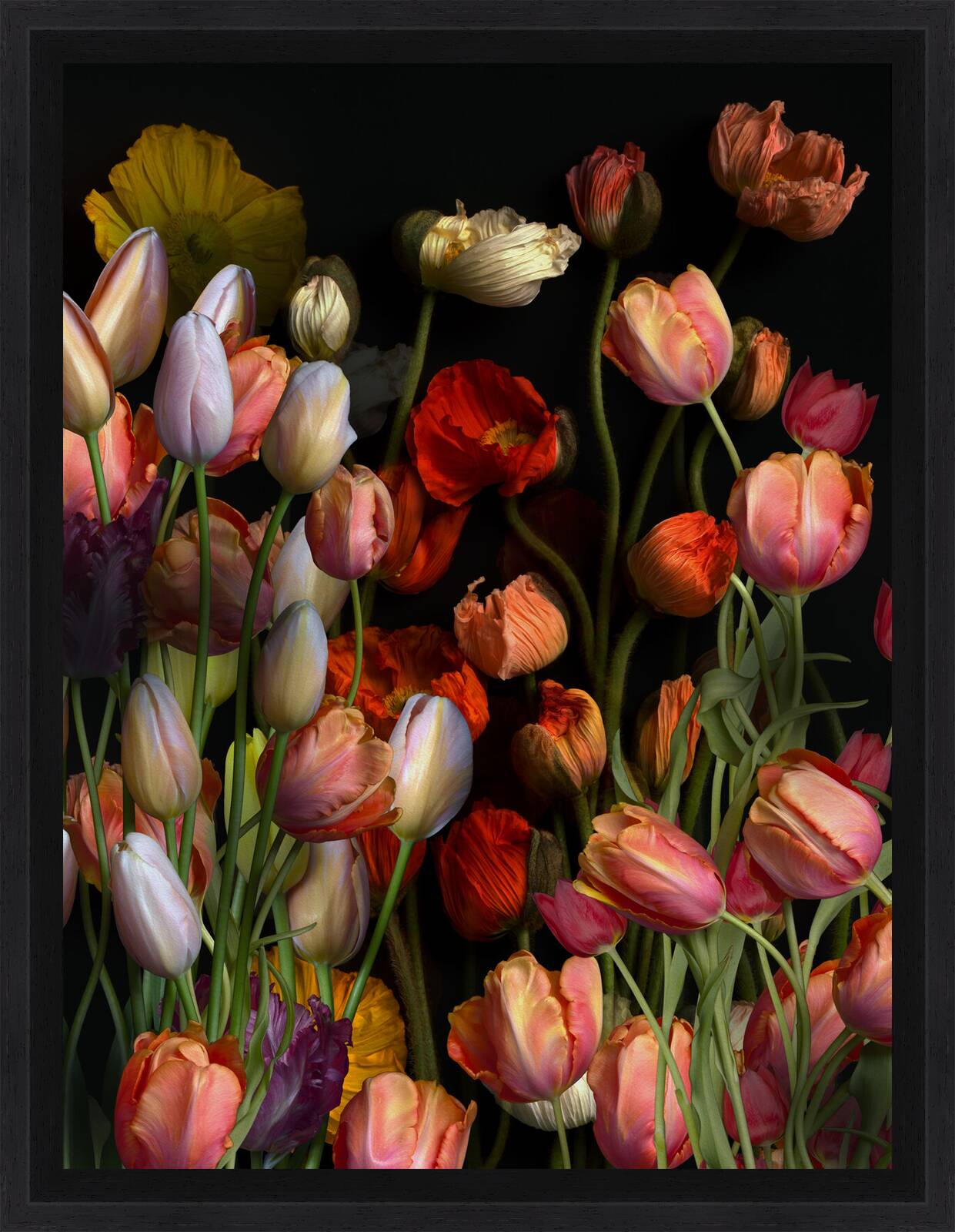 Florescence XII by Juan Fortes - Open Edition.