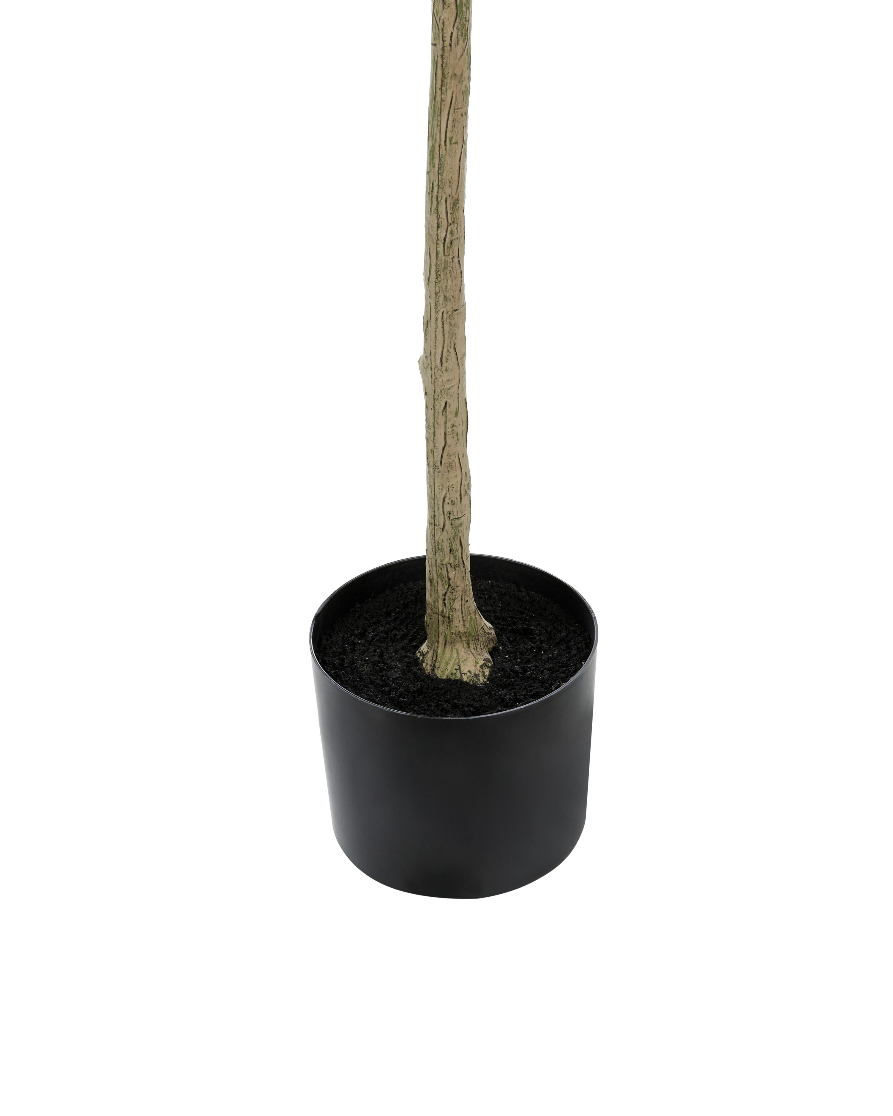 Kunstplant OLIVE TREE 178 cm Groen