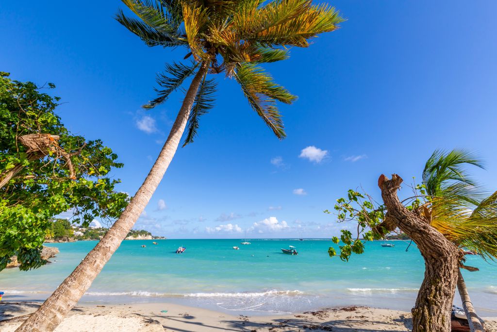 Cruise Curaçao & Caribische Parels Volpension