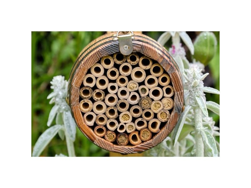 Wildlife World Wildbienenhotel Bienenfass 13 x 13 x 18 cm Nistplatz für Bienen