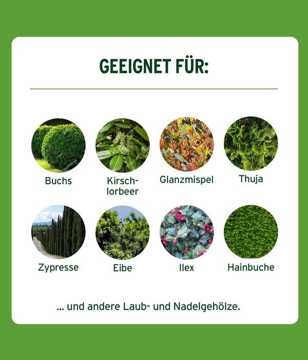 Substral® Langzeit Depotdünger Buchs &
