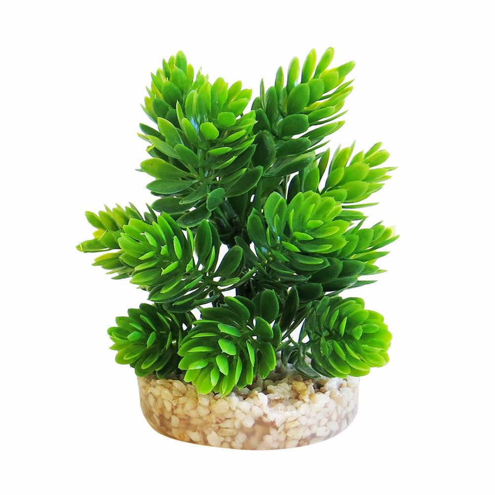 Décoration d'aquarium: magic aqua naturals h. 11 cm