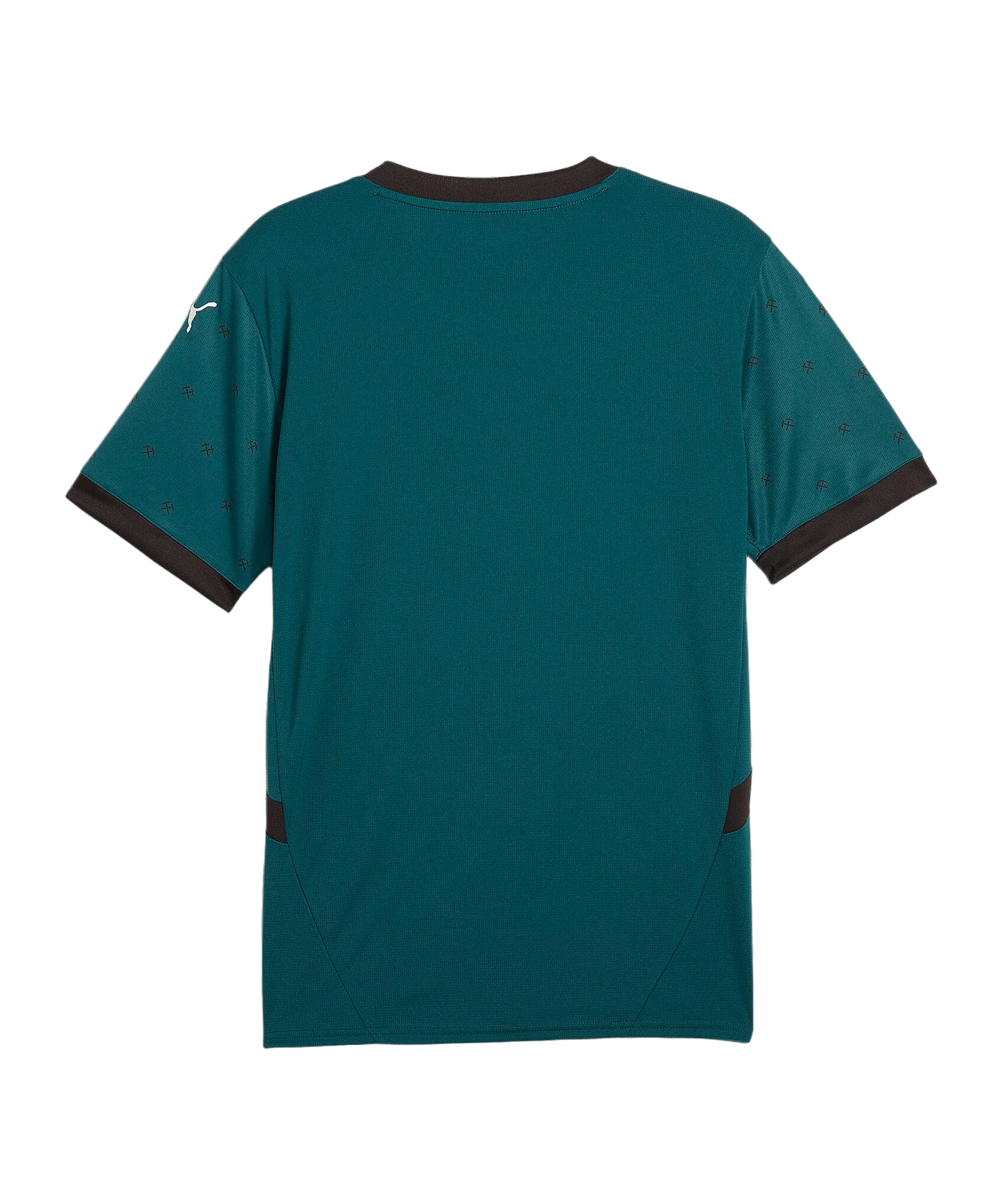 PUMA RC Lens Trikot Away 2024/2025 Grün F02