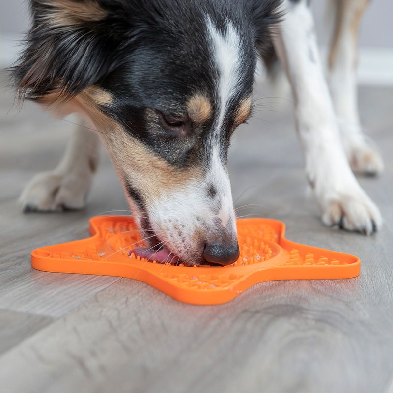 Tapis à lécher Trixie Lick'n'Snack Étoile pour chien et chat