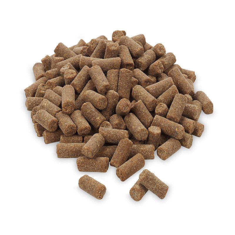 Feringa Adult Croquettes pressées à froid dinde pour chat