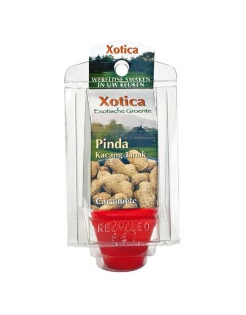 Buzzy Kweekkasje Pinda - Kweeksets - per stuk