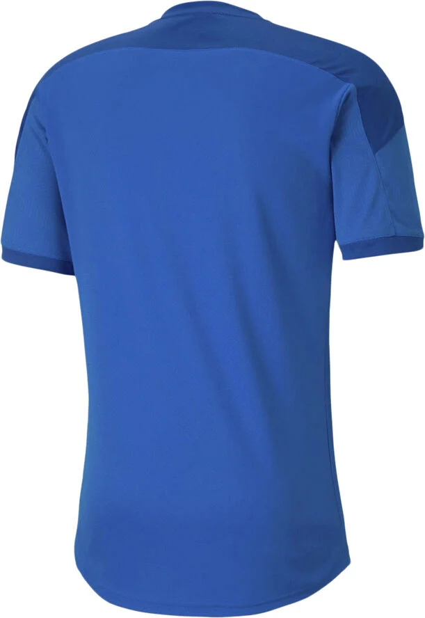 Puma Teamfinal 21 T-shirt Blå