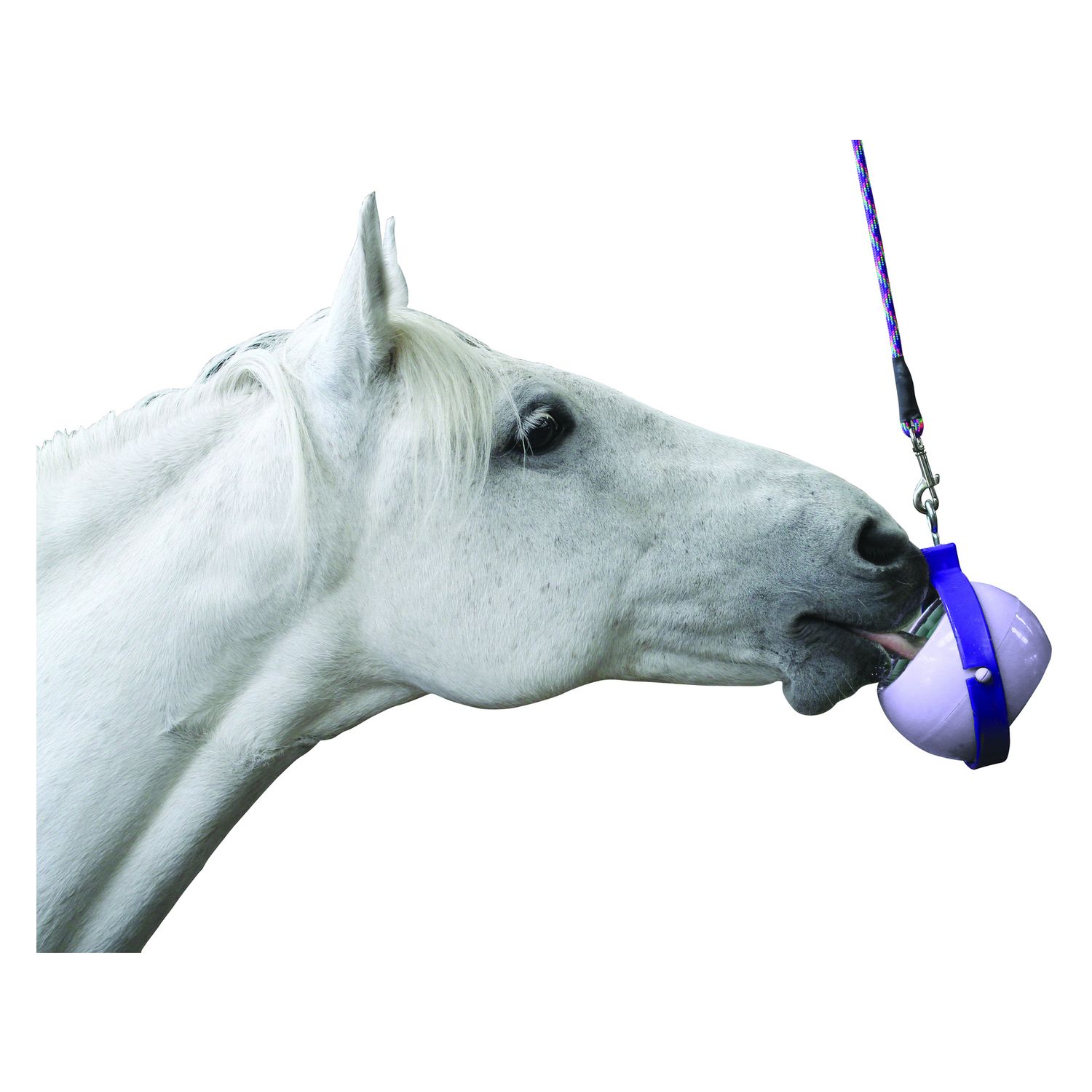 Likit Boredom Buster