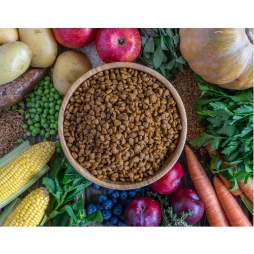 VeggieAnimals Plus, alimento à base de plantas para gatos adultos.