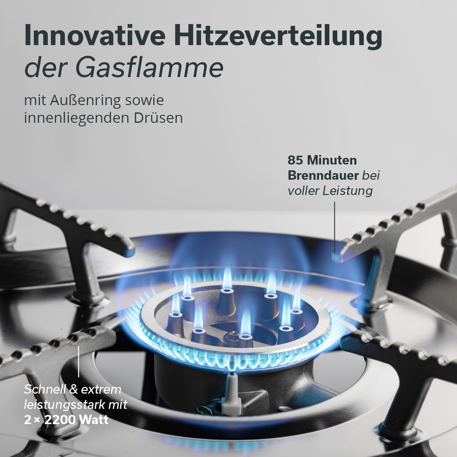 Skandika Brann 2 pits gasfornuis set