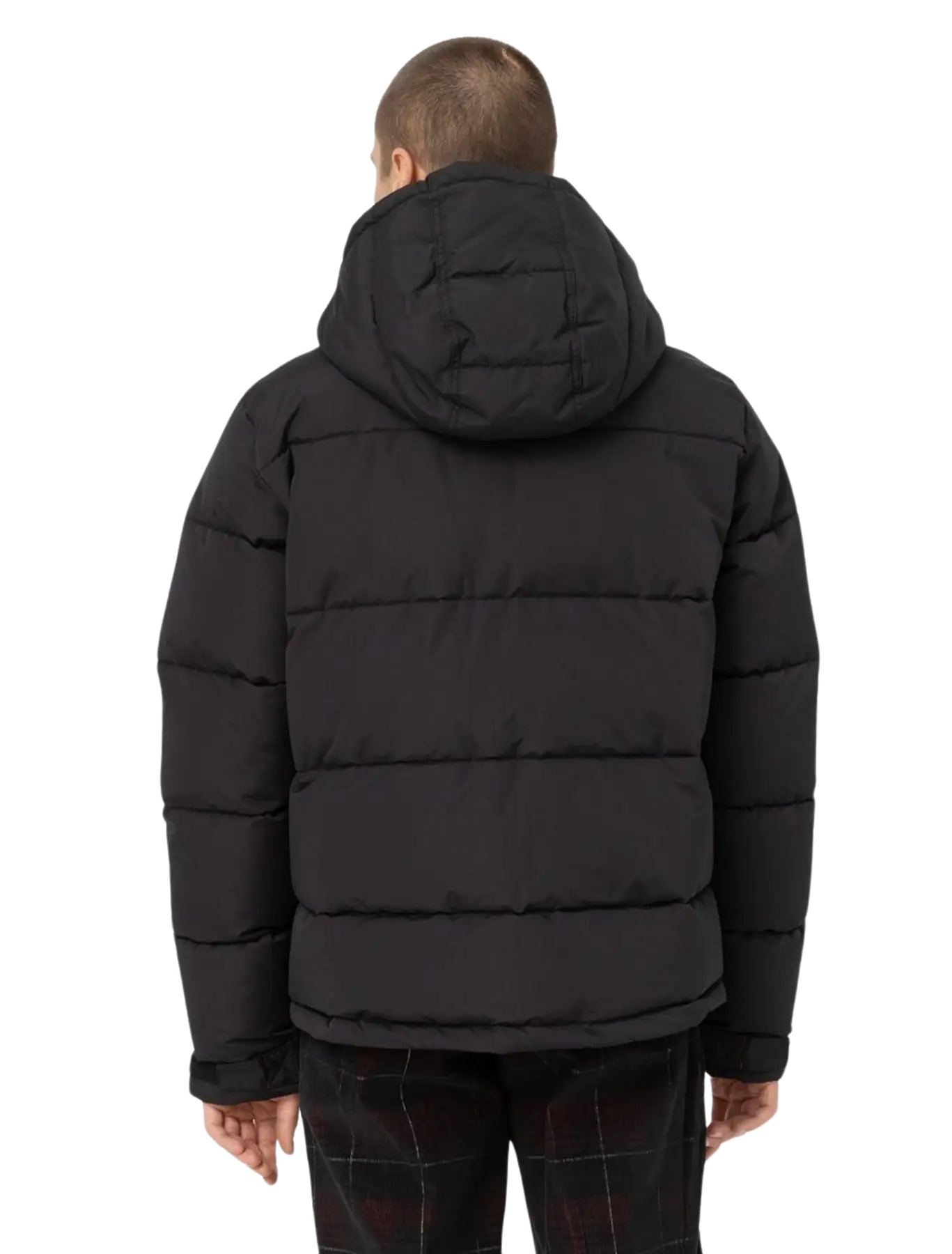 Dickies Glacier View Puffer Jakke | SkatePro