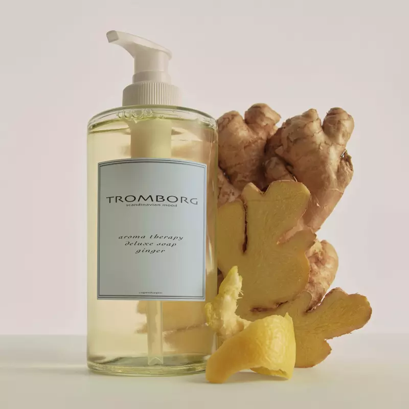 Tromborg Aroma Therapy Deluxe Soap Ginger 20th Anniversary 320 ml