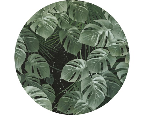 Zelfklevend fotobehang D1-023 Dot Novel Monstera Ø 125 cm