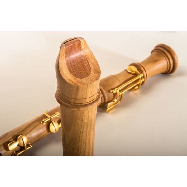 Mollenhauer 5431C Denner Comfort Tenor