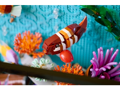 LEGO Tropisch aquarium (10366)