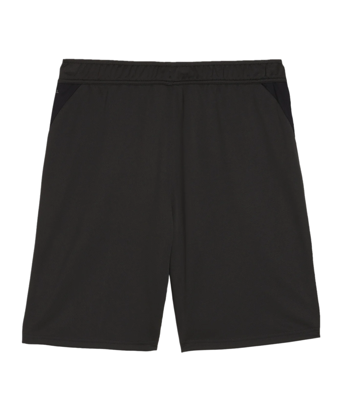 PUMA teamGOAL Training Shorts Schwarz F03