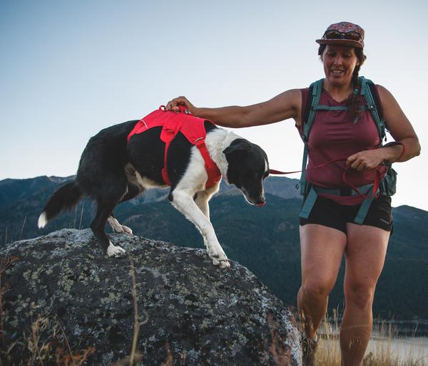 RUFFWEAR® Hundegeschirr Web Master™