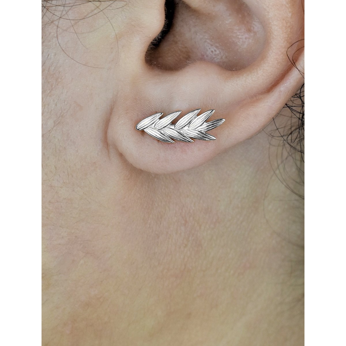 Parure épi branche de laurier Argent 925 Rhodié