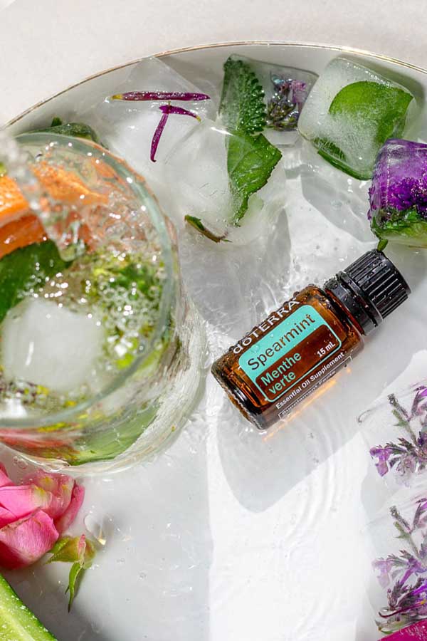 Huile de menthe verte  Mentha spicata