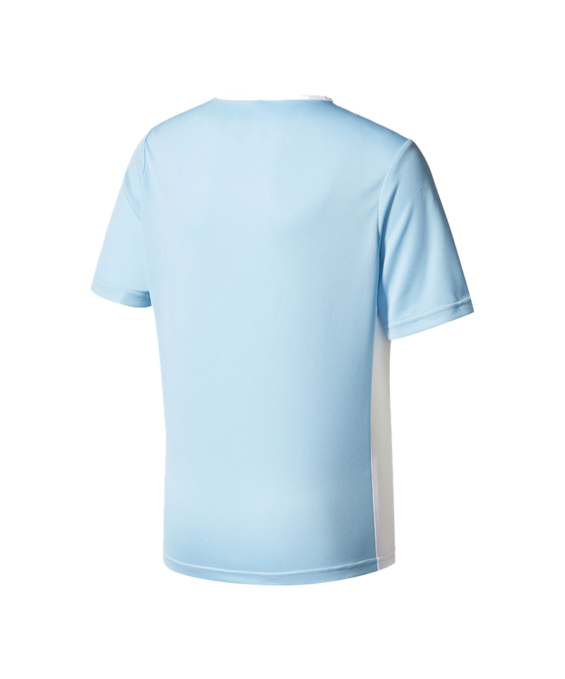 adidas Entrada 18 Trikot kurzarm Kids Hellblau