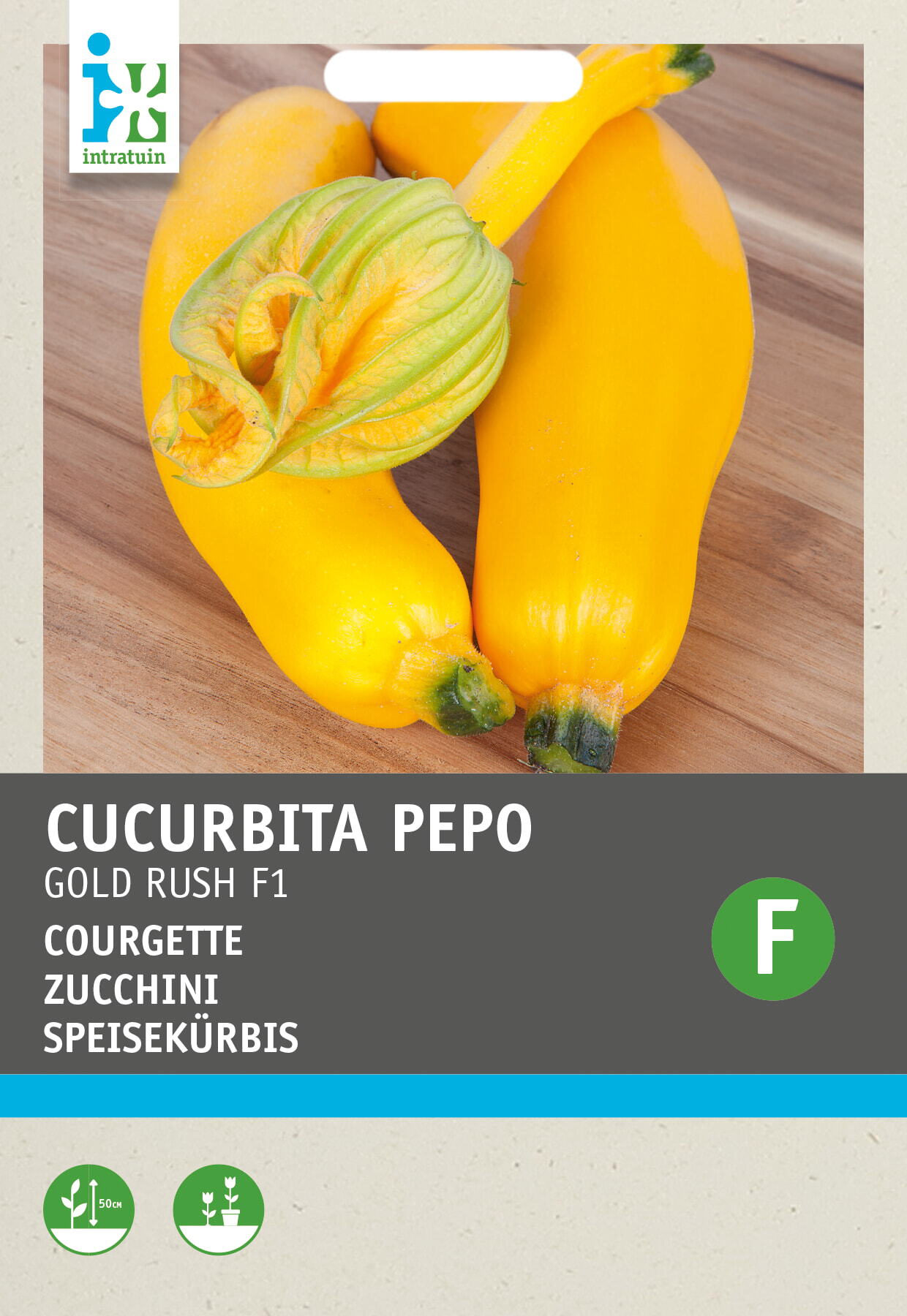 Intratuin groentezaad Courgette (Cucurbita pepo 'Gold Rush')