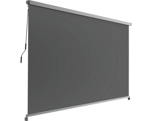 Verticale zonwering, lichtdoorlatend, frame RAL 9011 grafietzwart, geschikt voor pergolazonwering 2,94 x 3,94