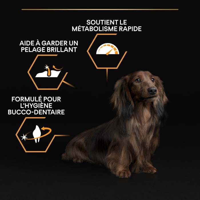 PRO PLAN Everyday Nutrition Small & Mini Adult au Poulet - Croquettes pour chien