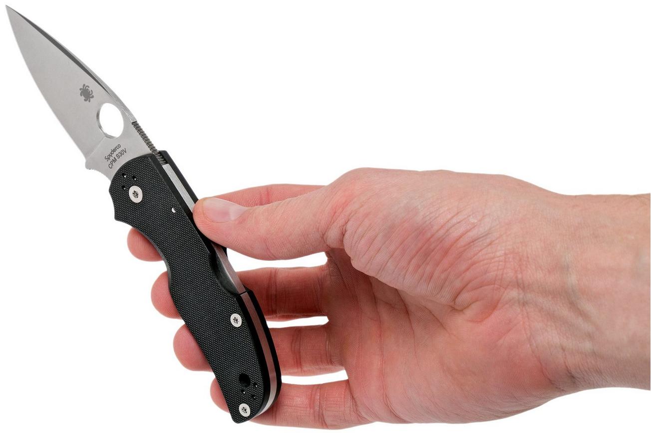 Spyderco Native 5 C41GP5 zakmes