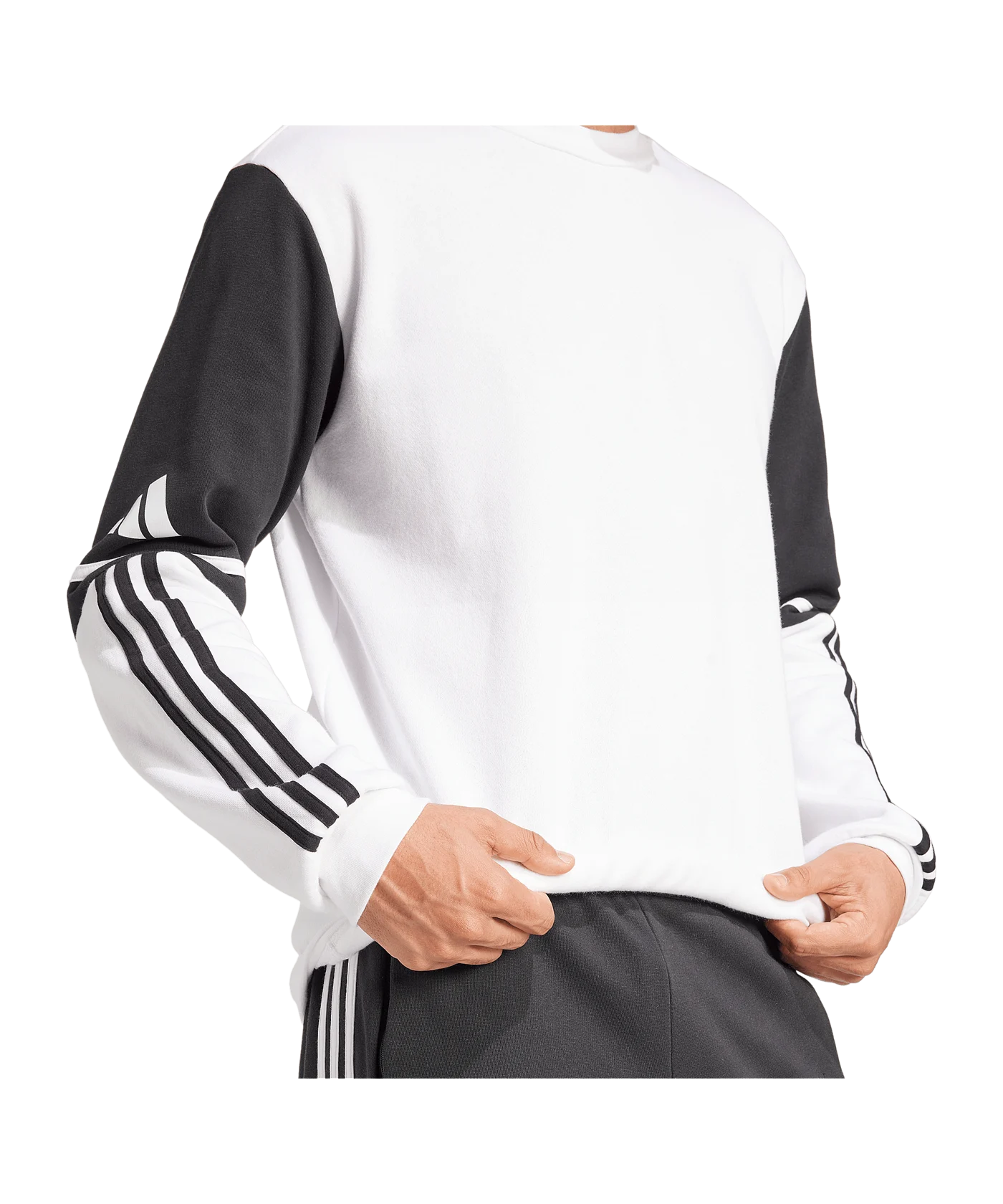 adidas Squadra 25 Sweatshirt Weiss