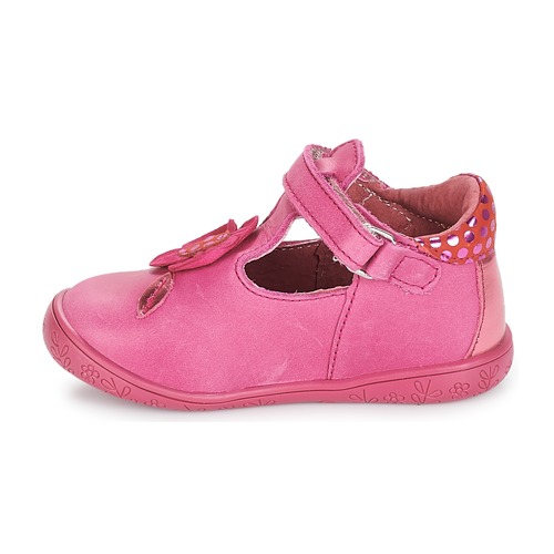 André - FLORE - Fuschia