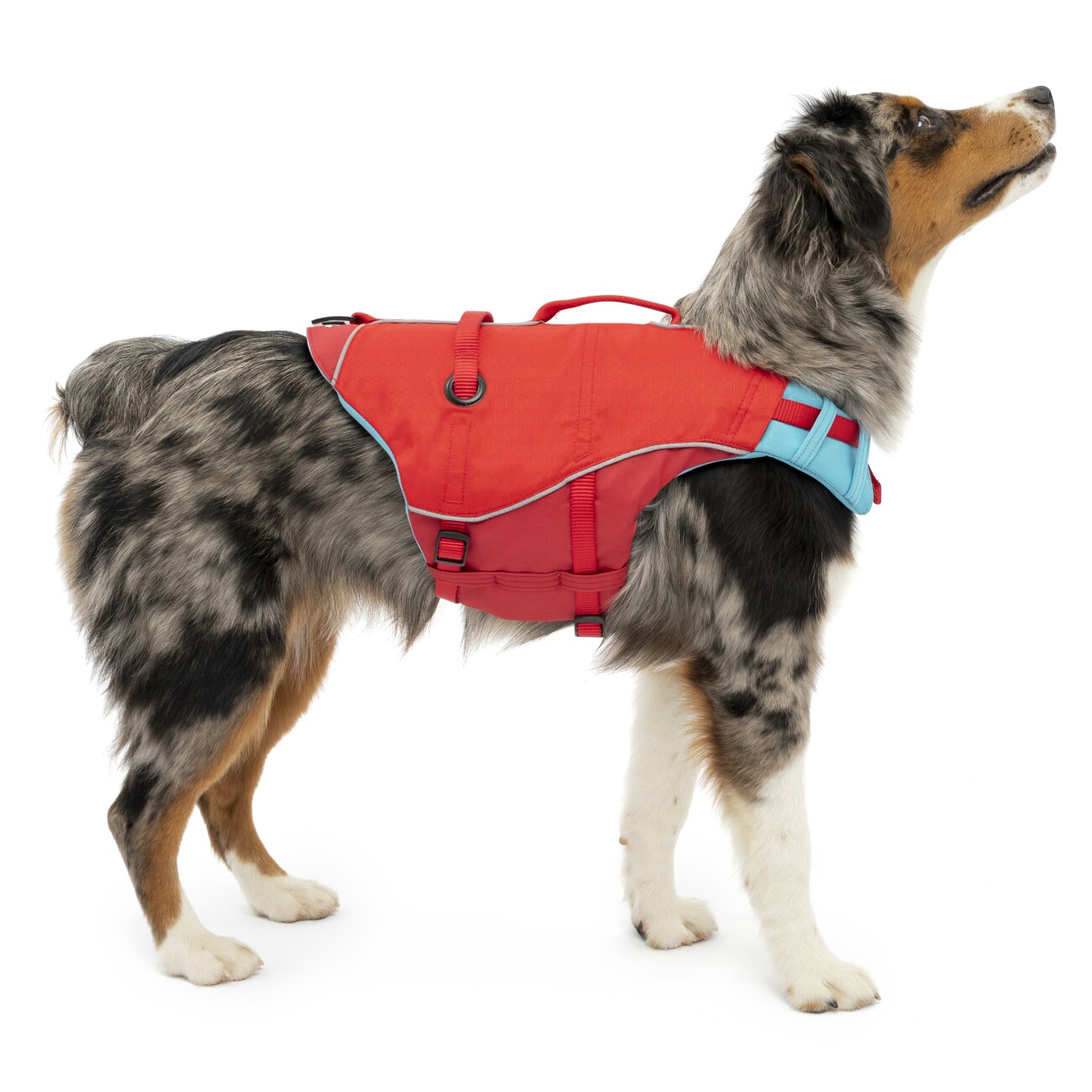 Kurgo Surf N Turf Hundeschwimmweste XS