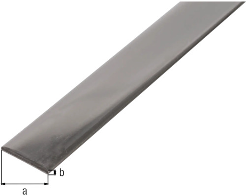 Vlakke staaf roestvrij staal 20x2 mm, 1 m