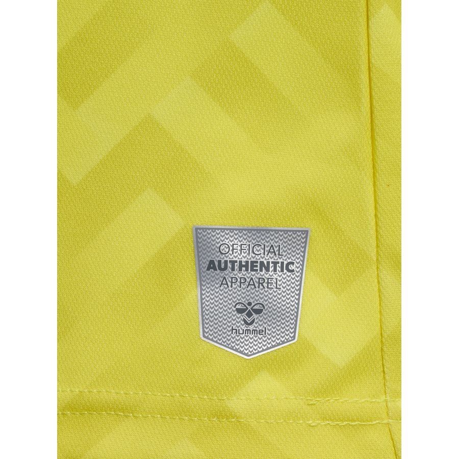 Danemark Maillot de Gardien 2023/24