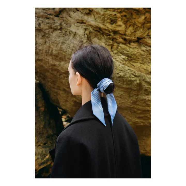 Aeneis Twill de Soie | Bleu