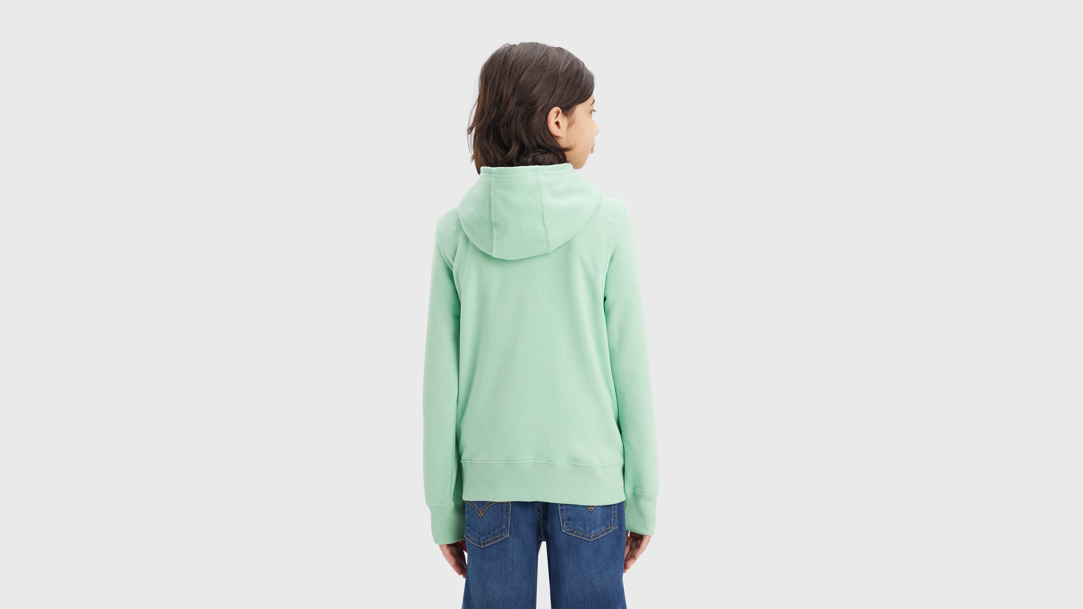 Sweat à capuche logo poster - Meadow - Vert