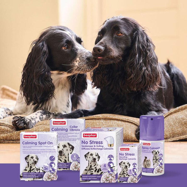 Spray Calmante Beaphar: Ambiente Relaxante para Cães e Gatos