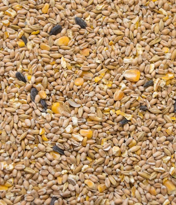Dehner Best Nature Hühnerfutter Bio