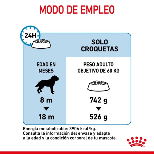 Ração Royal Canin Junior Giant para cães