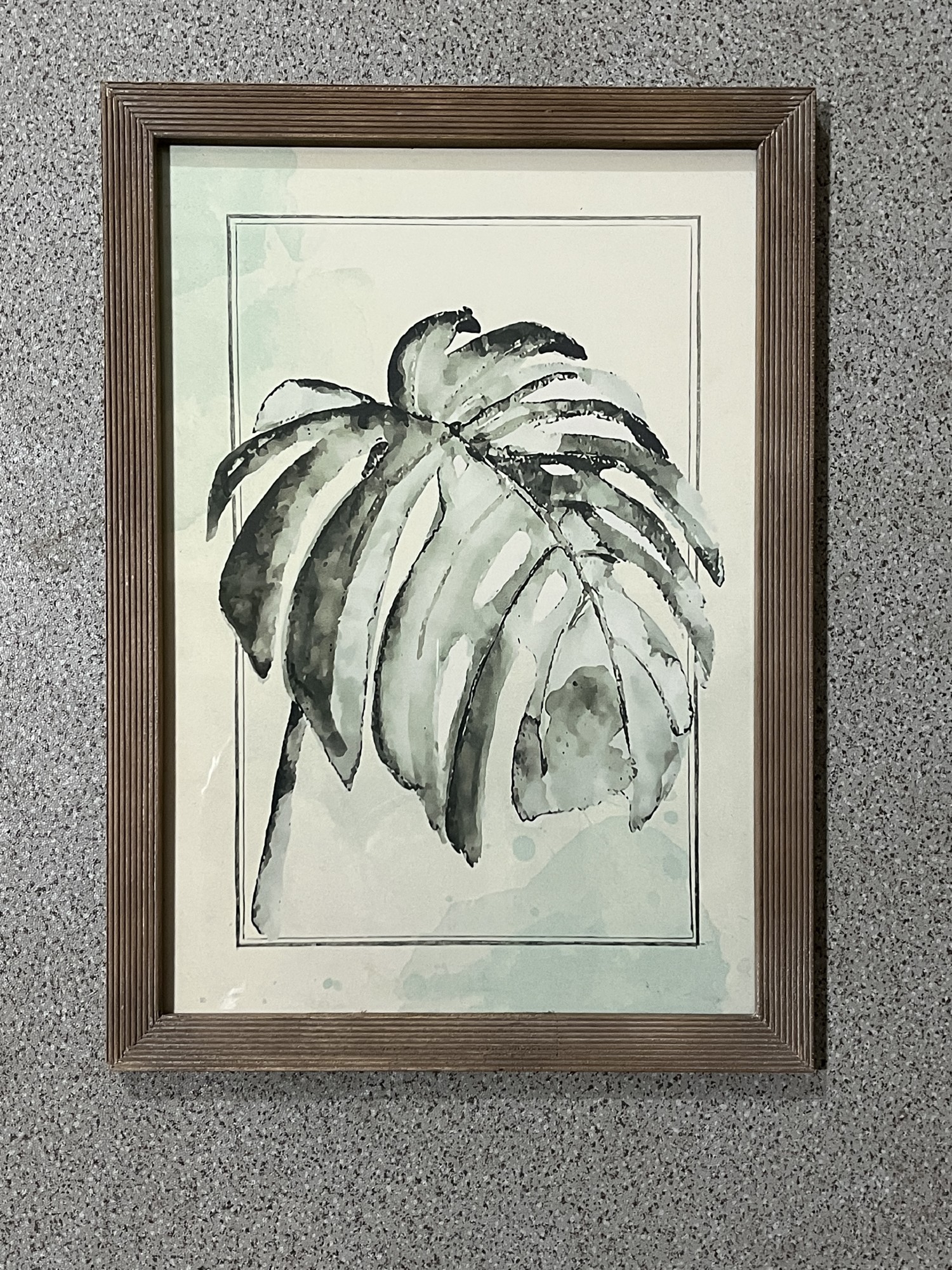 Wandbild 'Monstera' im Holzrahmen, H 51,5 cm, B 37,5 cm von fischer's lagerhaus