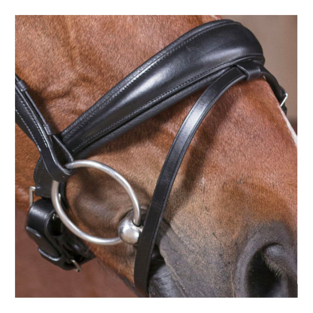 Norton PRO STRASS - Bridon noir