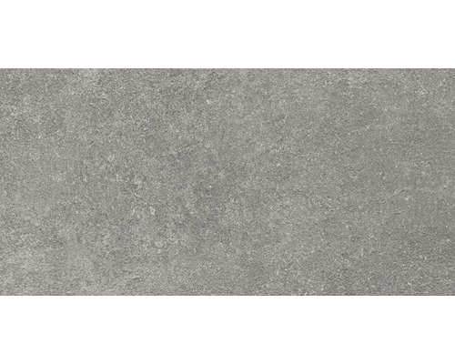 FLAIRSTONE porseleinen terrastegel Luna Silver gerectificeerde rand 100 x 50 x 2 cm
