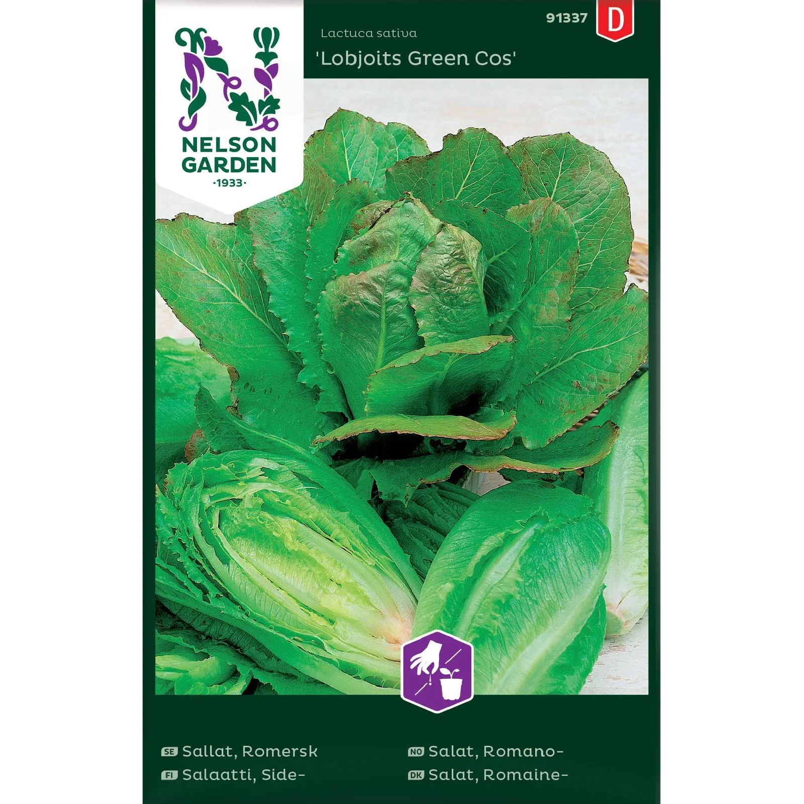 Lactuca sativa 'Lobjoits Green Cos' Romanosalat 'Lobjoits Green Cos'