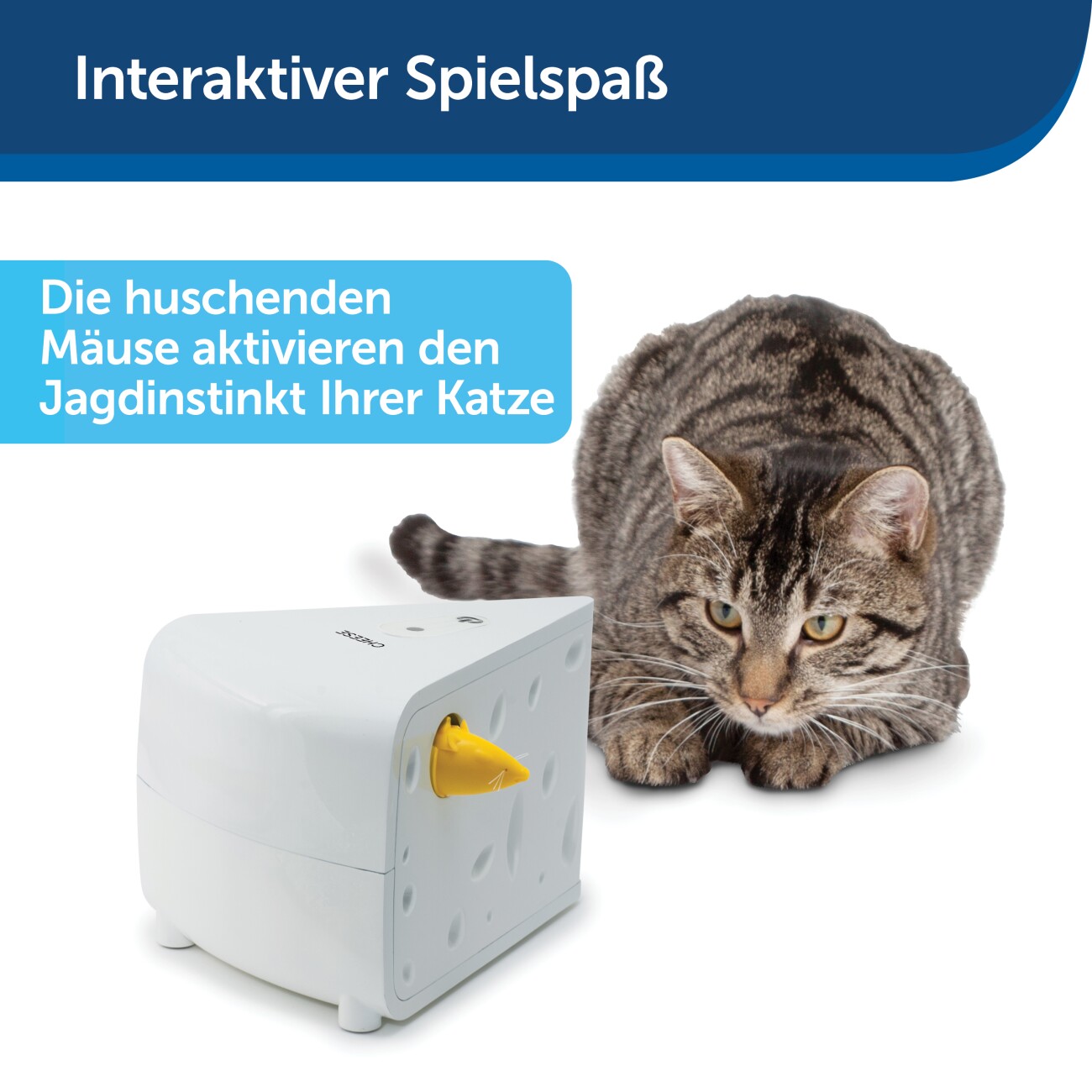PetSafe Automatisches Katzenspielzeug Cheese
