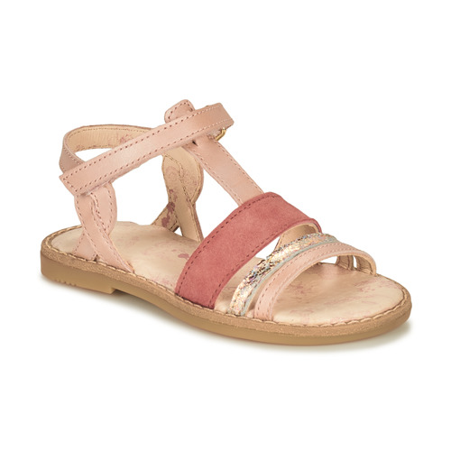 Little Mary - DAVINA - Rose