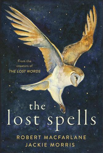 The Lost Spells (Hardback)