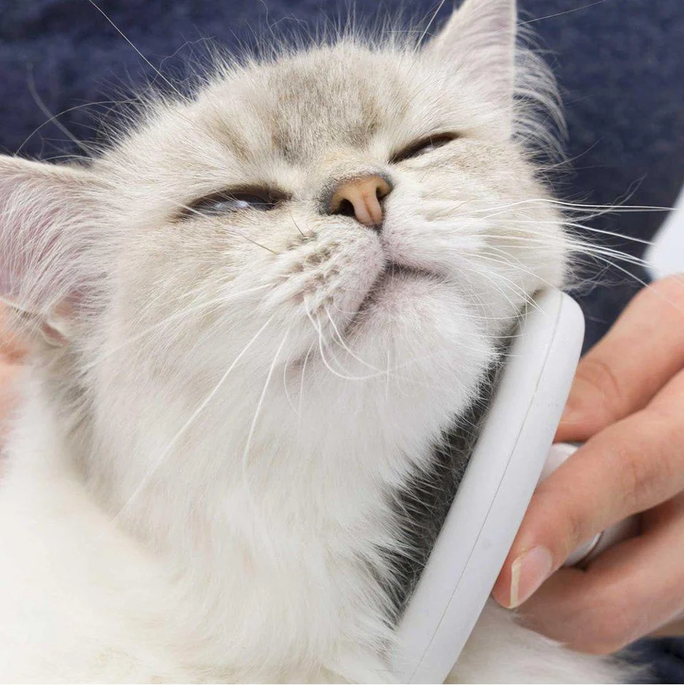 CATIT - Grooming Kit Lang håret