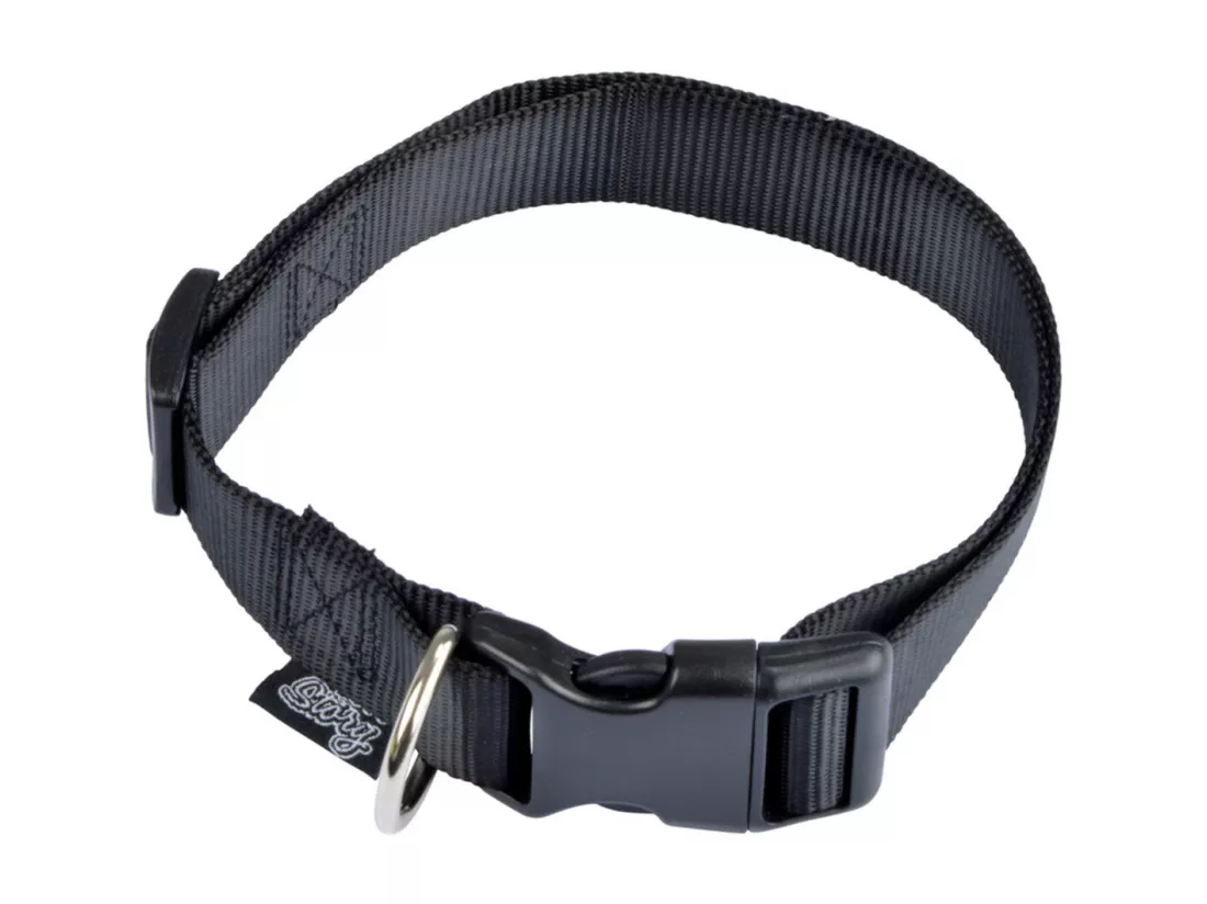 Collier Réglable pour Chien 